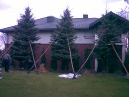 Zdjecie020_10_310x200
